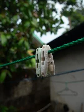 Clothes pin 写真素材