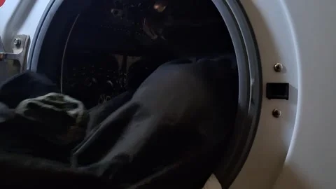 Clothes in the washing machine Stock-Footage 346094518