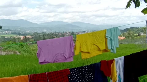 Clothesline Stock Footage 268952492