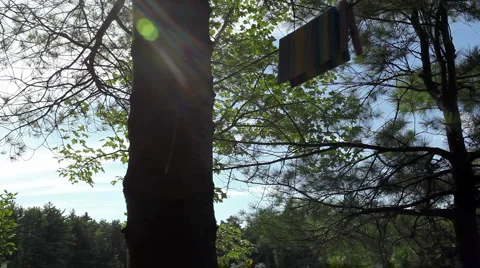 Clothesline in trees with lensflare Stock Footage 956995