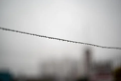 Clothesline wire full of small drops on a rainy day with a selective focus Stock Photos
