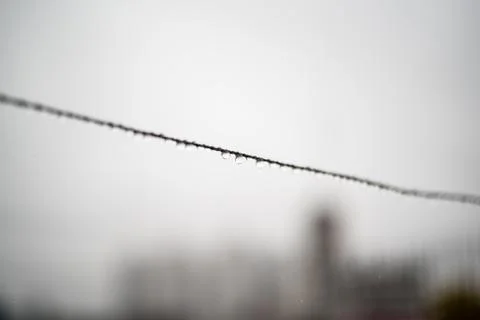Clothesline wire full of small drops on a rainy day with a selective focus Stock Photos