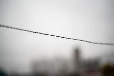 Clothesline wire full of small drops on a rainy day with a selective focus Stock Photos