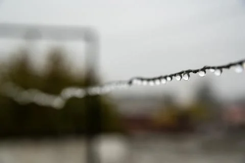 Clothesline wire full of small drops on a rainy day with a selective focus Stock Photos