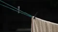 Clothespegs on rainy day. Towel getting wet. HD Footage