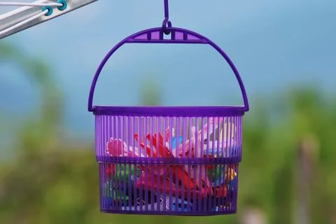 Clothespin basket 스톡 사진