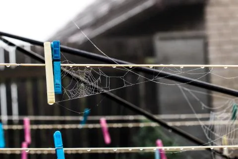 Clothespin Stock Photos