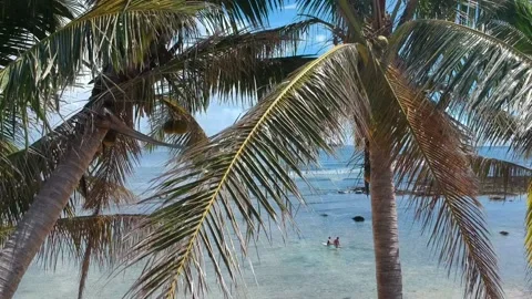 Cloud 9 Siargao drone flight above palms Video stock 218437852