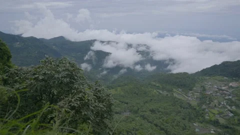 Cloud and green grass track in shot Video stock 202006513