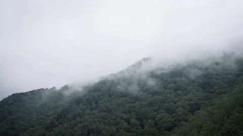 The Cloud and mist moving slow mountain cover tree Stock Footage 129304320