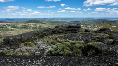 Cloud and shadow timelapse Video stock 239567834