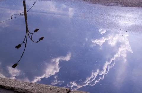 Cloud and streetlight reflection in puddle Stock Photos