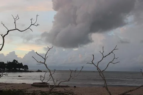 Cloud and tree Stockfoto's
