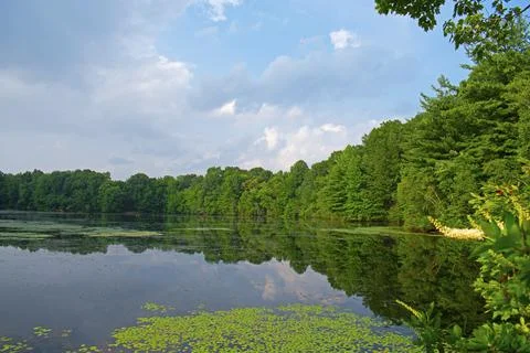 Cloud and Tree Reflections in Lake -10 Stock Photos