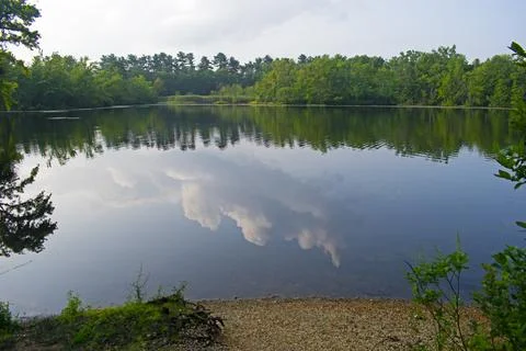 Cloud and Tree Reflections in Lake -22 Stock Photos