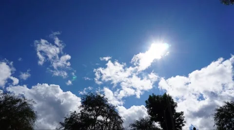 Cloud and Tree Time Lapse 1 Stock Footage 68984409