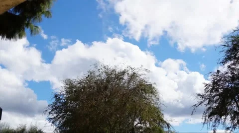 Cloud and Tree Time Lapse 2 Stock Footage 68984411