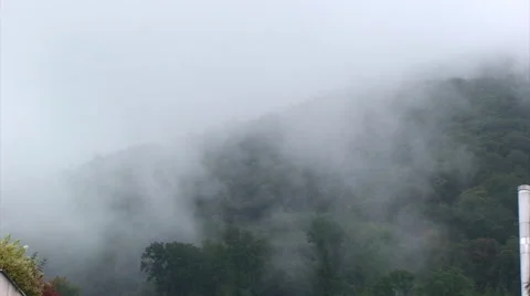Cloud ascending from forest Stock Footage 49769266