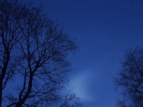 Cloud between silhouettes of trees Stock Photos