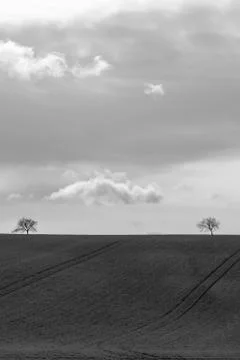 The cloud between the two bare trees Stock Photos