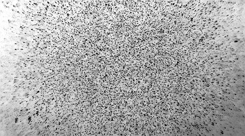Cloud of black particles floating in water, small bubbles - composite background Stock Footage 59685833
