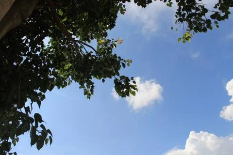 Cloud in the blue sky Stock Photos