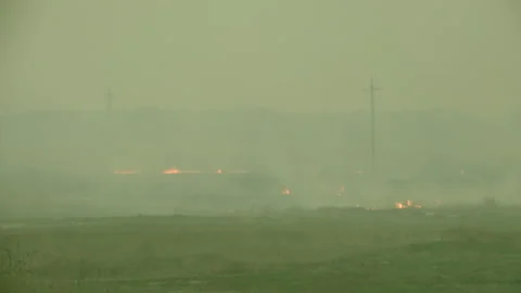 Cloud of Caustic Green Smoke Poisons Air. Smoldering Fire. Fire Season. Poison Stock Footage 147005356