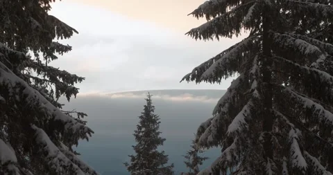 Cloud ceiling behind snowy mountain trees in winter - view from top 스톡 동영상 242086599