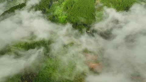 Cloud-Cloaked Peaks: Aerial Escapade in 4K through Jungle Mountains Stock Footage 244472246