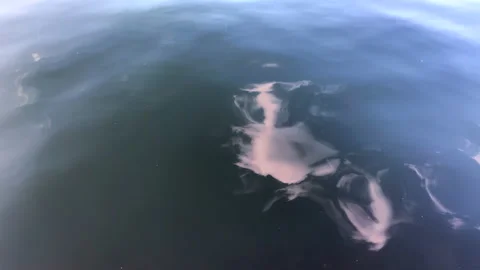 Cloud, cloud in water, reflection, mirror, water surface Stock Footage 157237634