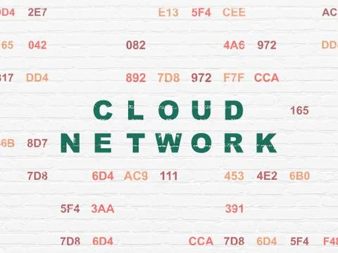 Cloud computing concept: Cloud Network on wall background Stock Illustration