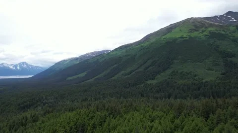 Cloud Covered Mountain in Alaska Video stock 217830630