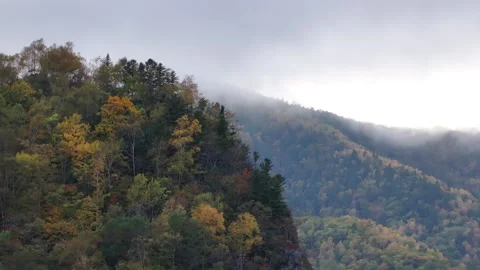 Cloud Covered Mountain and Trees. 動画素材 265837603