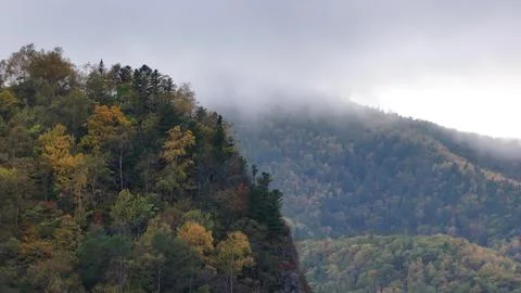 Cloud Covered Mountain and Trees. Stock Photos
