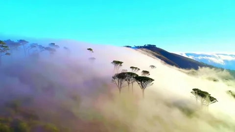 Cloud Covered Mountain drone view Stock Footage 252435496