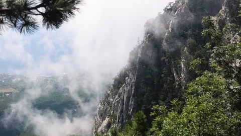 A cloud-covered mountain high in the sky with trees growing on it	 Stock Footage 162726231