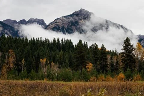 Cloud covered mountain peaks above autumn forest. Canada. Stock Photos