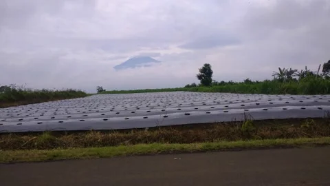 Cloud covered mountains Stock Footage 221528082