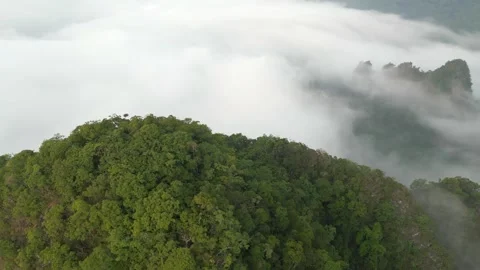 Cloud-covered mountains in Khao Sok, Thailand. Stock Footage 247068789