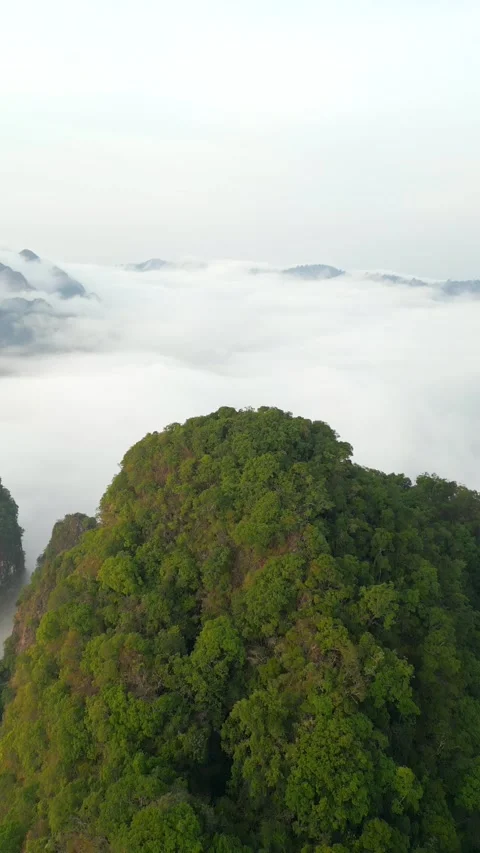 Cloud-covered mountains in Khao Sok, Thailand. Stock Footage 248360109