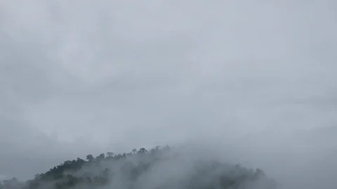 Cloud covering the mountain forests in a nature reserve. Stock Footage 93109187