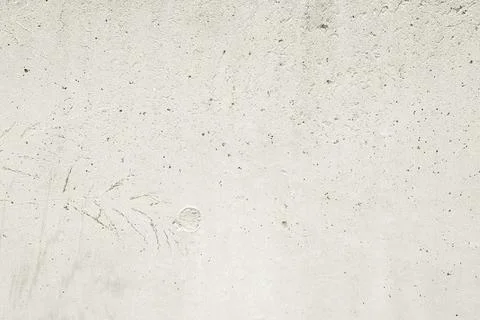 Cloud Dancer colored Modern limestone texture background and a plant Stock Photos