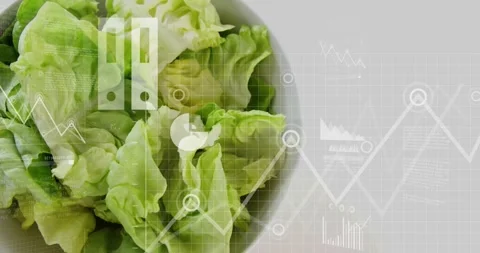 Cloud data entering from right, animating HUD charts over bowl of lettuce, Stock Footage 333967255