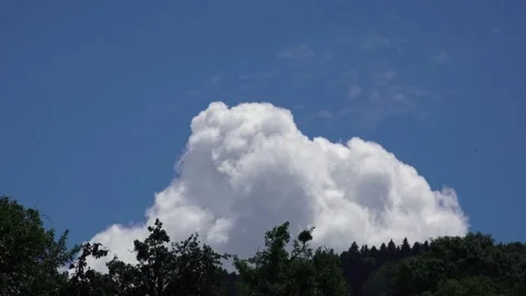 Cloud disappearing behind the trees speed up Video stock 133423501