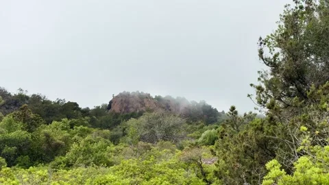 Cloud Drifting Across Rocky Forested Hillside Above Mediterranean Coast 库存影片 341559500