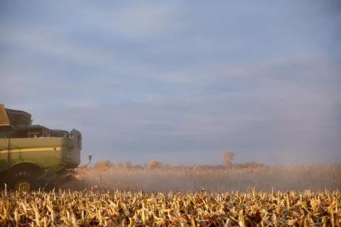 Cloud of dust and chaff behind a harvester Foto stock