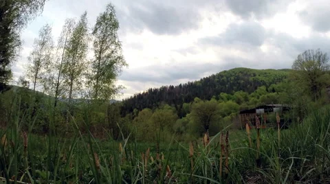 Cloud, field of spring grass and mountain Stock Footage 49929830