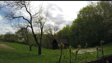 Cloud, field of spring grass and mountain Stock Footage 49929937