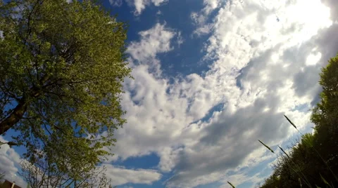 Cloud, field of spring grass and mountain Stock Footage 49929946