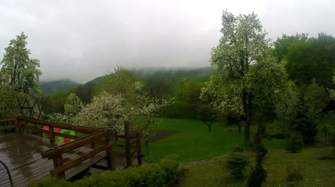 Cloud, field of spring grass and mountain Stock Footage 49930074